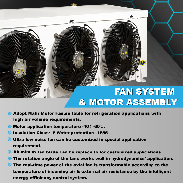 1621828666228555.jpg 3 fans 4.jpg