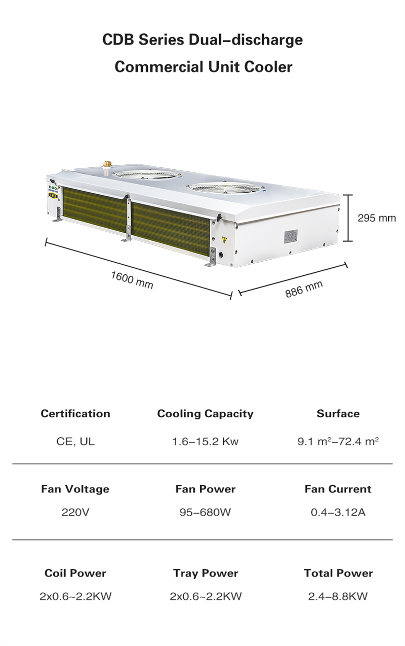 1683785893166547.jpg CBD01 (2).jpg