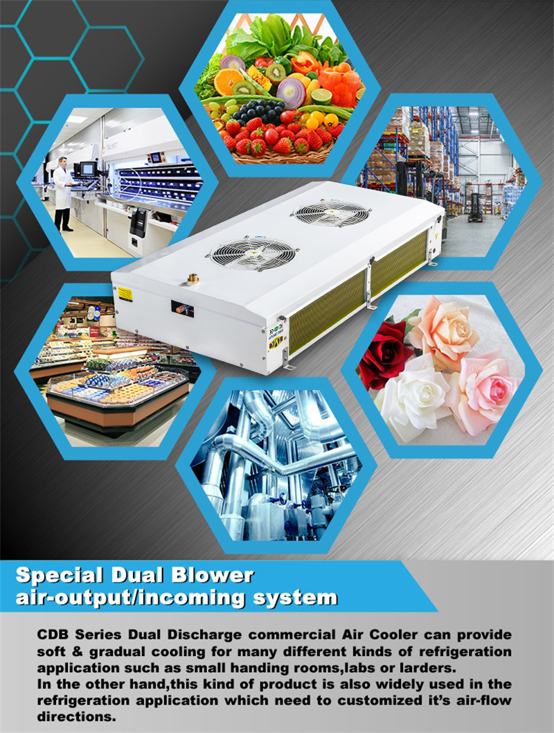 1683785917211431.jpg CBD01 (5).jpg